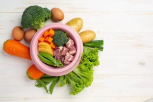 Pros and Cons of the BARF Diet for Dogs