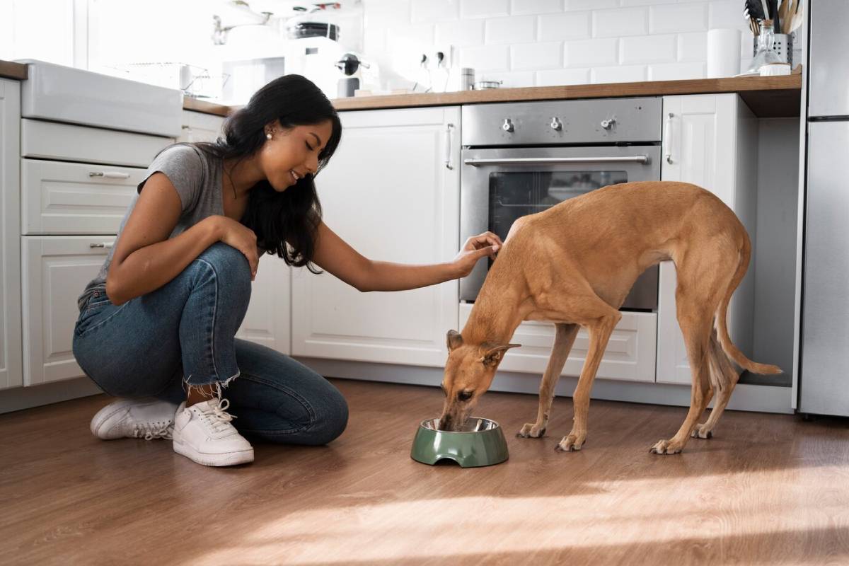 A person kneels beside a dog eating from a green bowl in a modern kitchen with white cabinets and wooden countertops. 