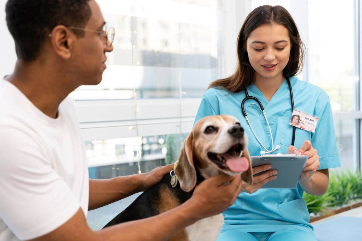 A veterinarian in scrubs examines a smiling beagle while its owner gently pets it, in a bright, modern clinic setting.