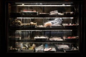 A glass-fronted refrigerator displaying various containers of seafood and meat, surrounded by condensation and water droplets.