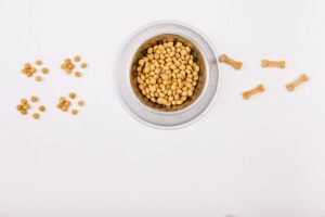A silver pet bowl filled with dry kibble, surrounded by scattered kibble and small bone-shaped treats on a white background.