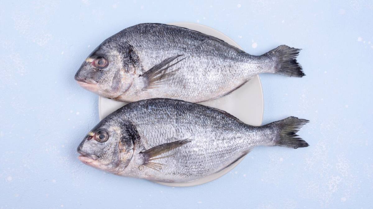 Two fresh sea bream fish resting on a white plate against a light blue background. 