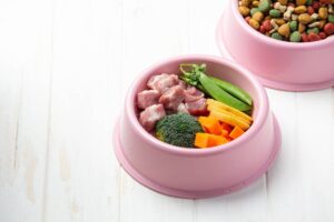 A pink pet bowl filled with pieces of pork, broccoli, carrots, and snap peas, beside a bowl of colorful dry pet food.