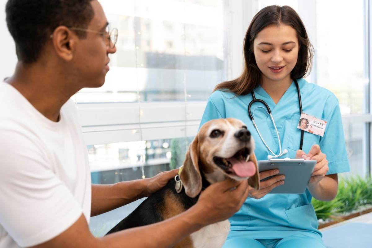 A person holds a happy beagle while a veterinarian in scrubs uses a tablet, discussing the dog's care in a bright, modern clinic. 