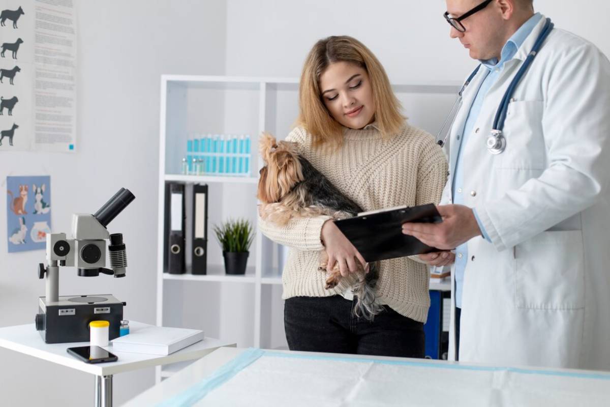 A veterinarian explains a medical report to a woman holding a Yorkshire Terrier in a brightly lit clinic with medical equipment. 
