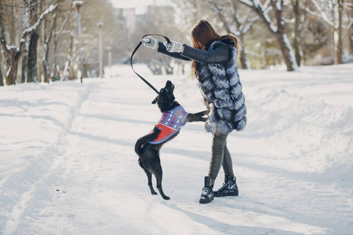 A woman in a fur coat plays with her excited black dog in a snowy park. The dog, wearing a colorful sweater, joyfully jumps towards her.