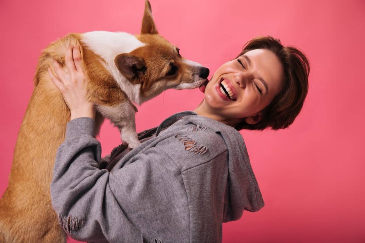 A person in a gray hoodie lifts a playful corgi against a vibrant pink backdrop, sharing a joyful moment together. 