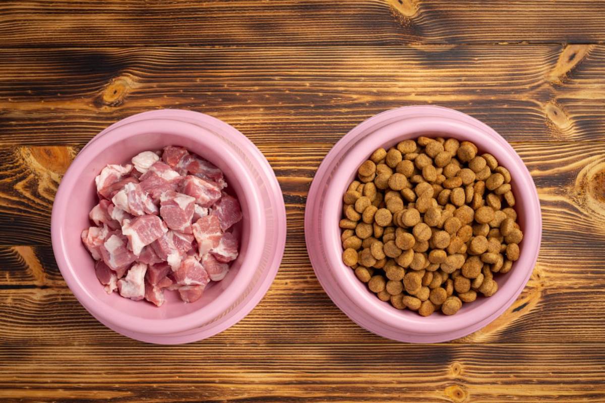  Two pink pet bowls sit on a wooden surface: one filled with diced raw meat and the other with dry pet food kibble.