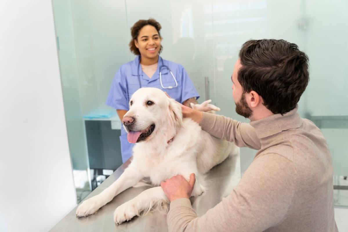  A golden retriever lies calmly on an examination table, as a man gently pets it while a veterinarian attends nearby.
