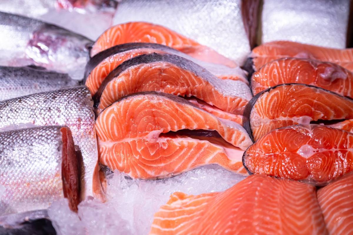 Freshly cut salmon fillets with vibrant orange flesh, placed on crushed ice, showcasing the glossy skin. 