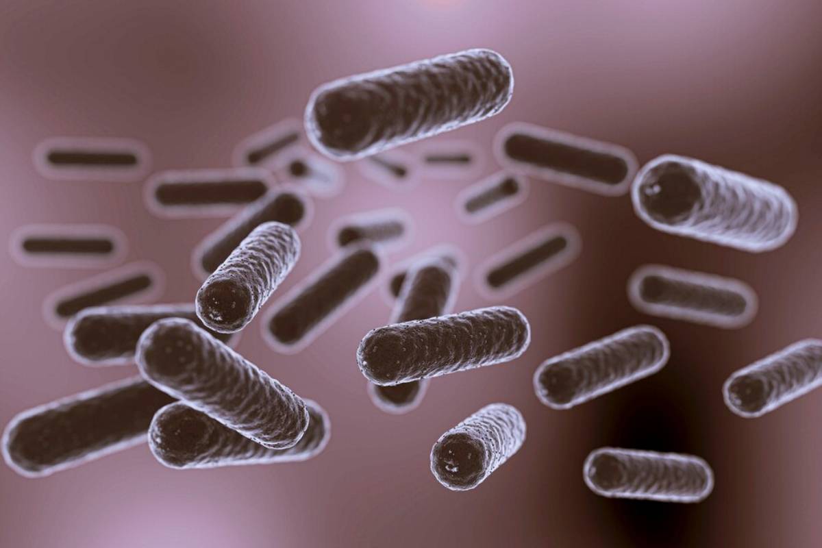 Micrographic image of rod-shaped bacteria floating in a soft-focus, pink background, highlighting their structure and texture.