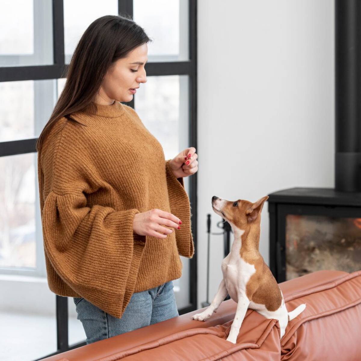 A person in a cozy brown sweater interacts with a small, attentive dog on a leather sofa, set in a bright, modern living space.