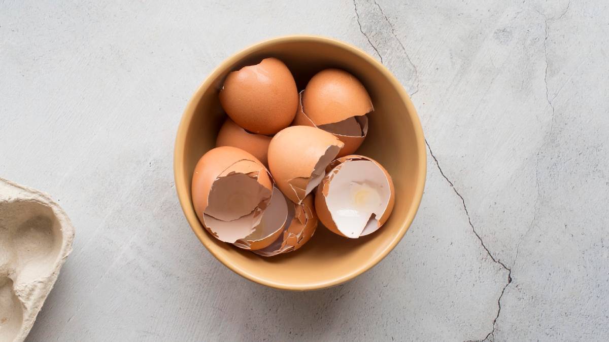 A bowl filled with broken eggshells, some intact eggs, resting on a smooth gray surface. 
