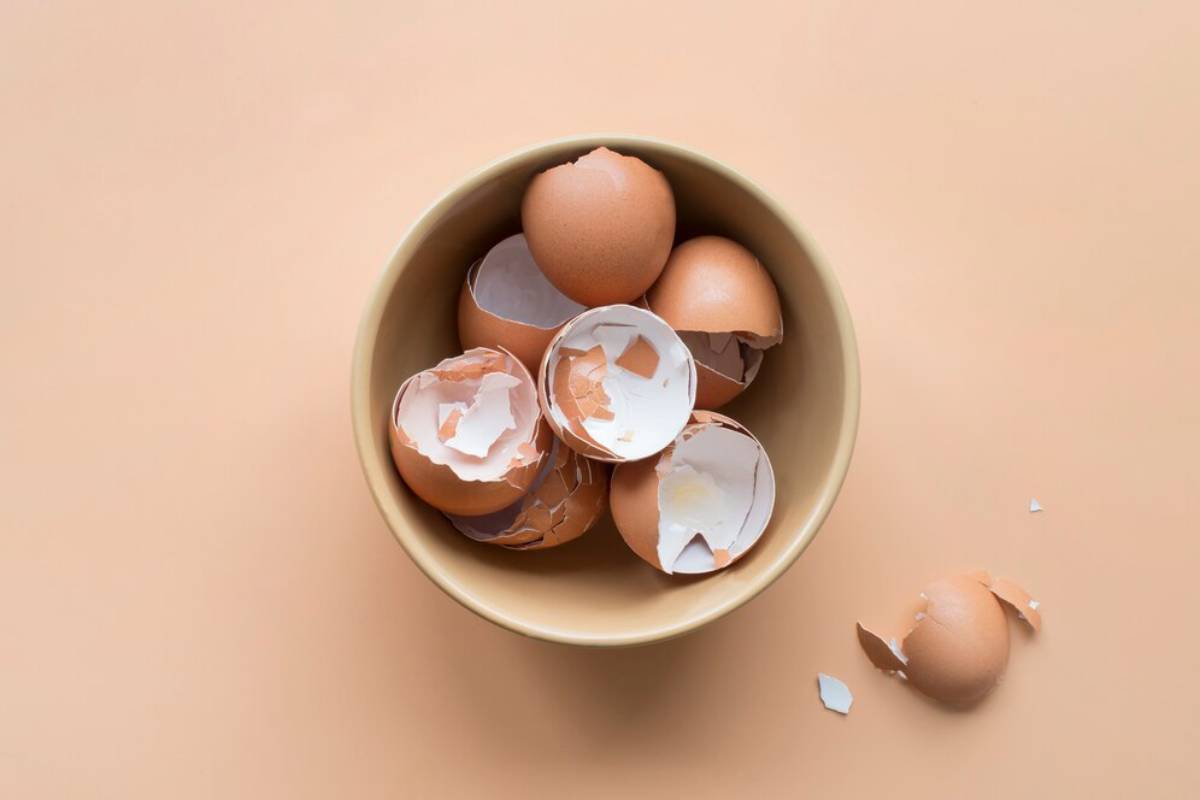 A beige bowl filled with cracked eggshells, some intact, against a soft peach background. 